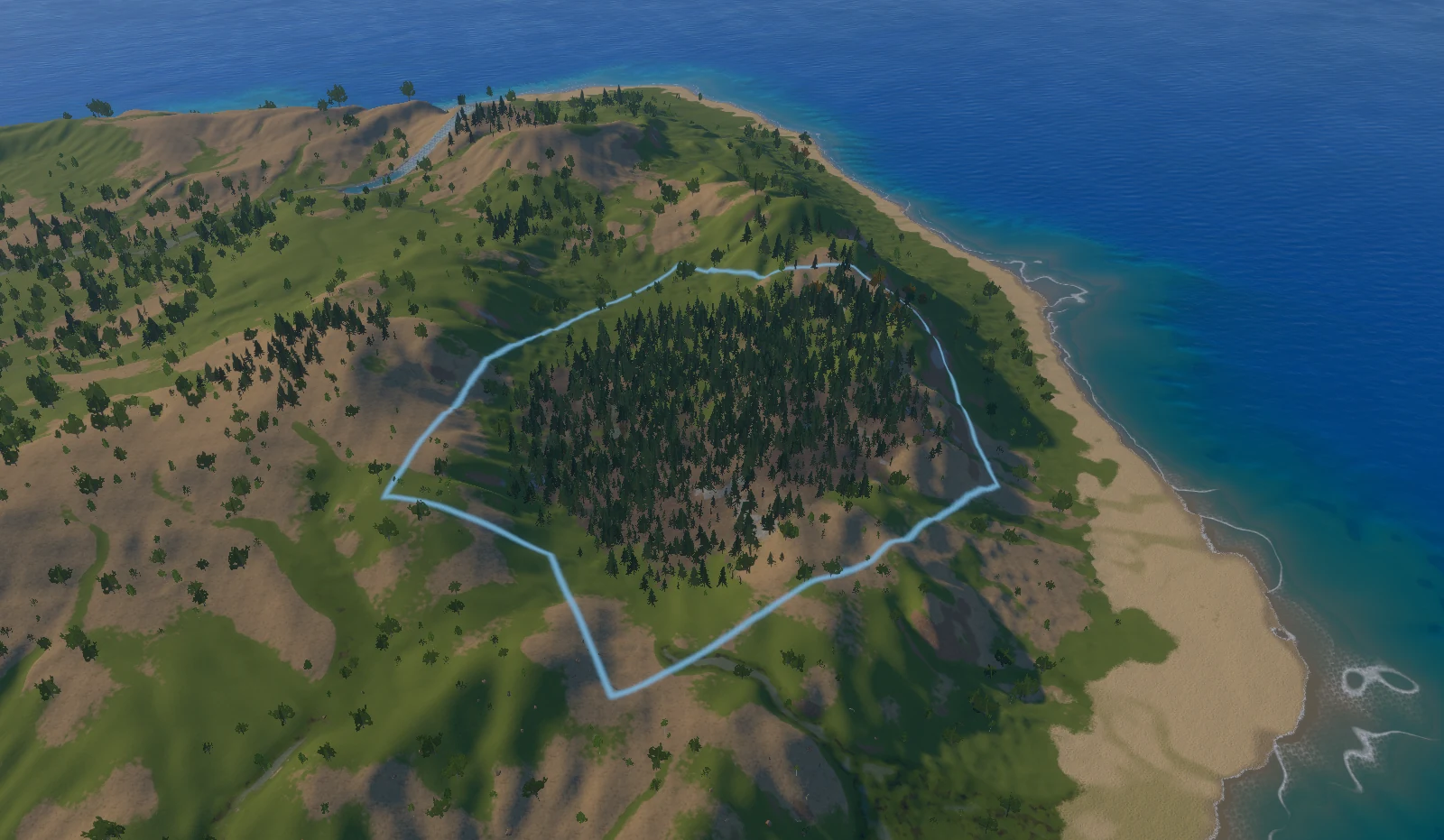 Dense pine forest created inside the same selected area
