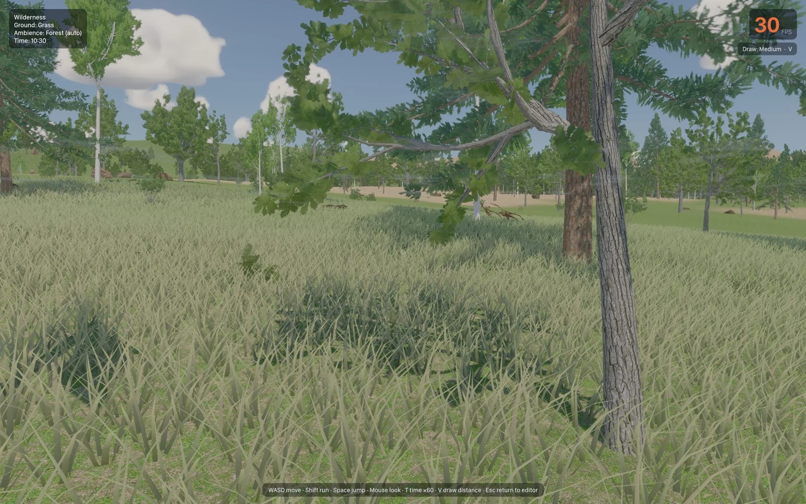 A player-level view through grass and trees in Skyfold Studio